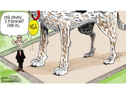 Obama cartoon NSA regulation