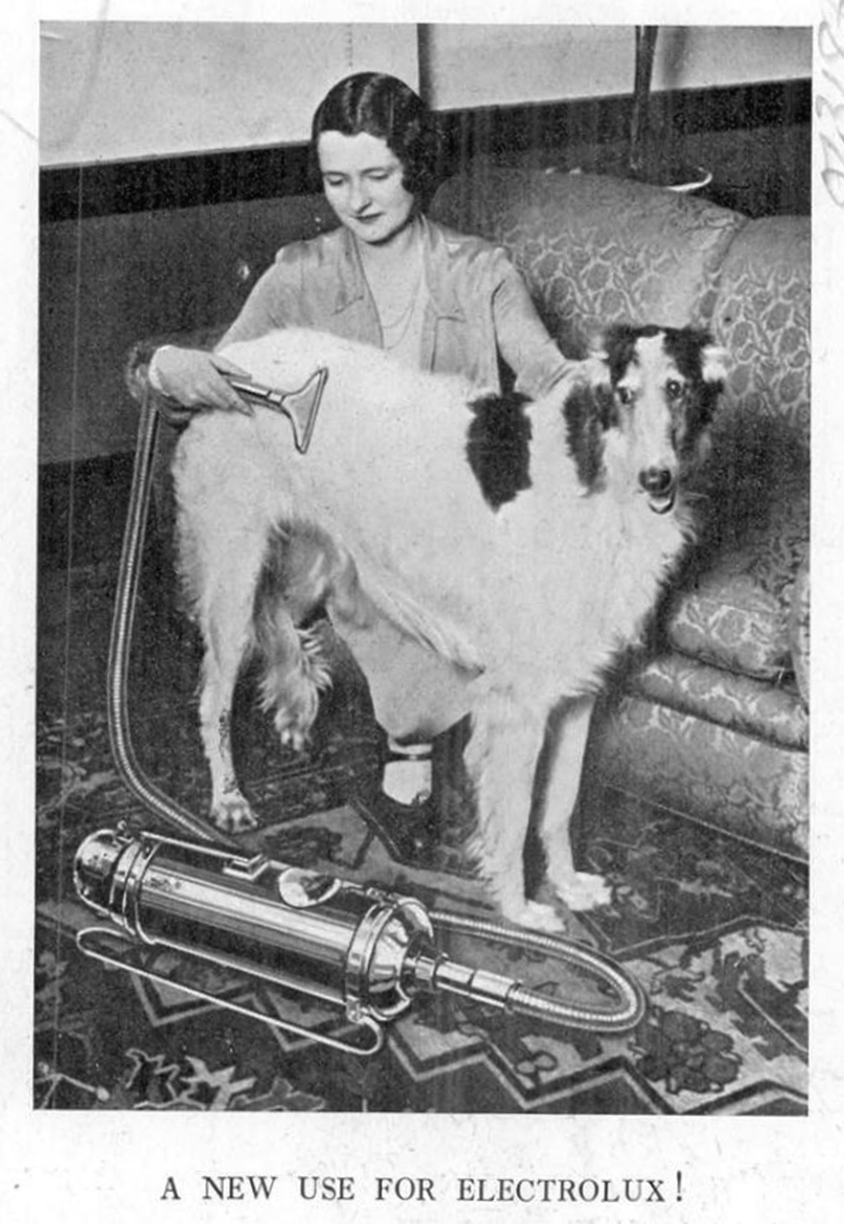 Christmas present adverts