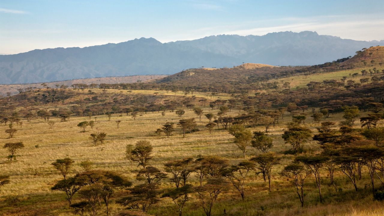 Queen Elizabeth National Park Uganda Safari