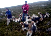 RiverstownBeagle_WEB_RDALY.jpg