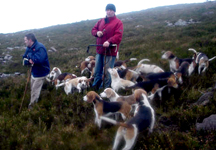 RiverstownBeagle_WEB_RDALY.jpg
