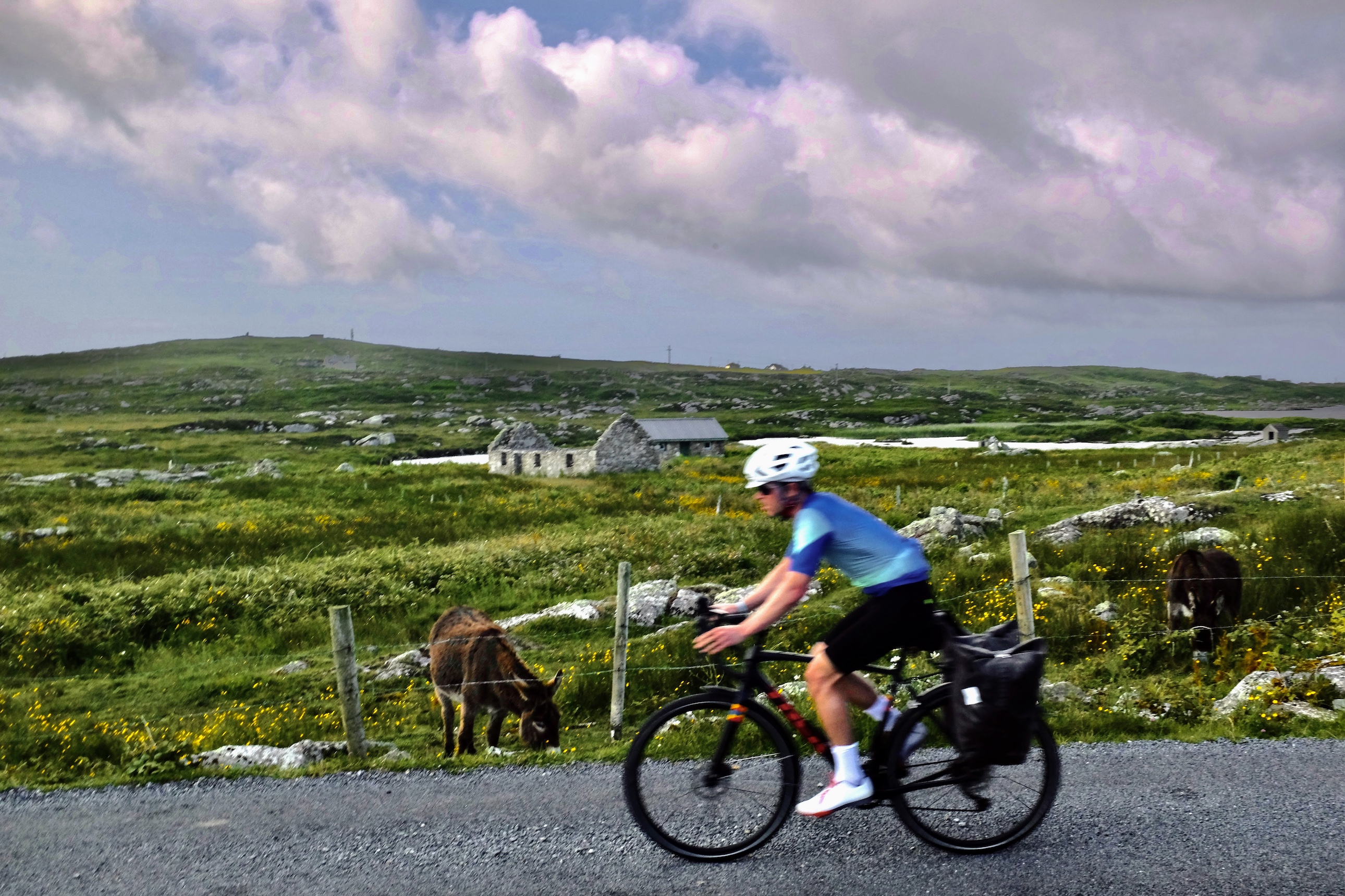 Riding through Connemara with a donkey and cottage in the background