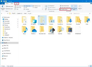 Windows 10 show hidden files