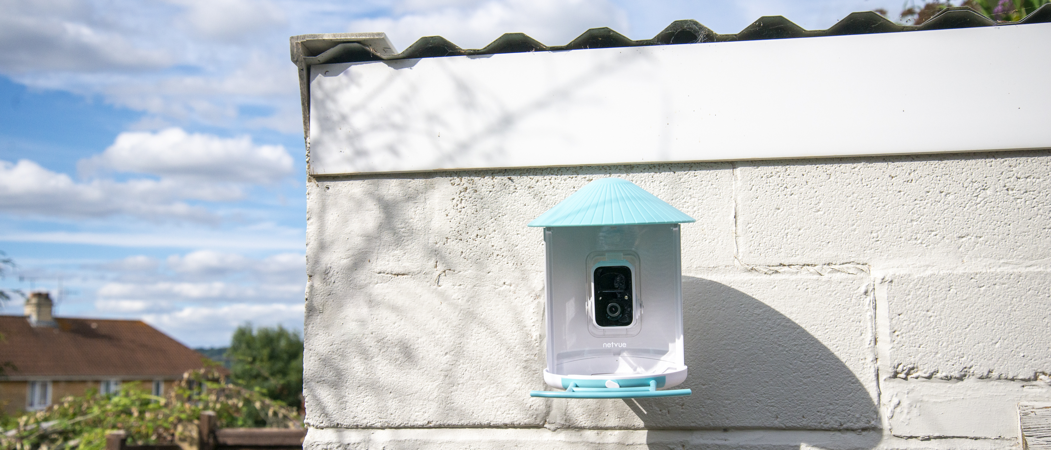 NETVUE Birdfy Lite - Smart Bird Watching Feeder with Auto Capture Videos &  Motion Detection, Wireless Camera Ideal Gift for Bird Lovers