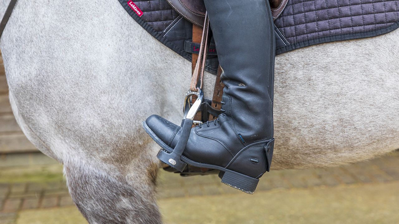 Sprenger Flexcite Grip stirrups review
