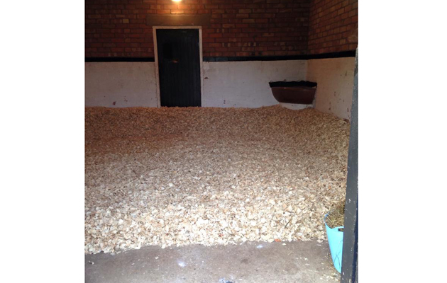 Hilly's lovely bed