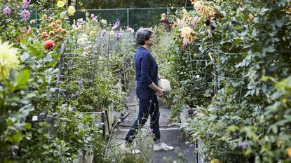 Frances Palmer in between dahlia beds