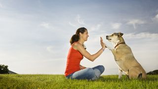woman giving her dog a high five