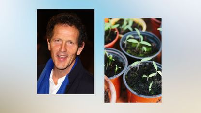 composite of Monty Don and a group of seedlings in a pot to illustrate monty Don's seed sowing advice for spring
