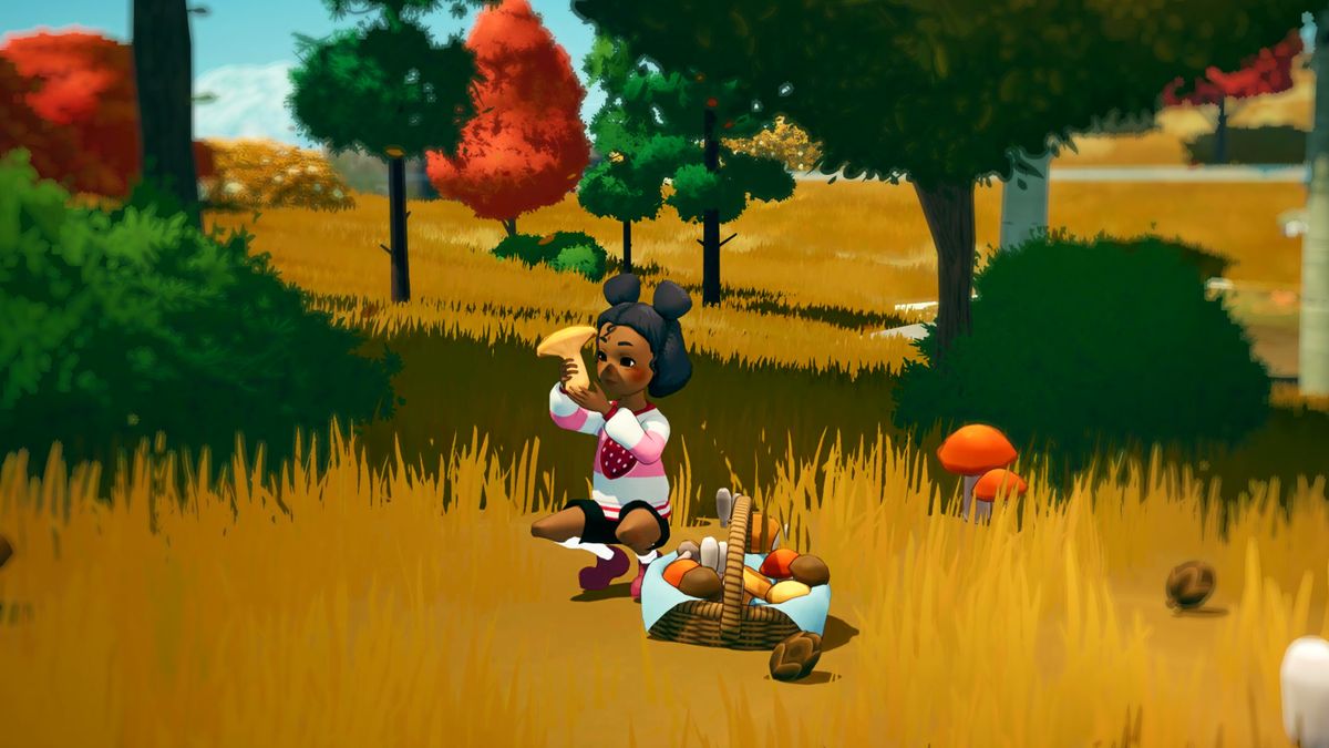 Sally screenshot showing a young girl inspecting mushrooms in a grassy autumn-colored field