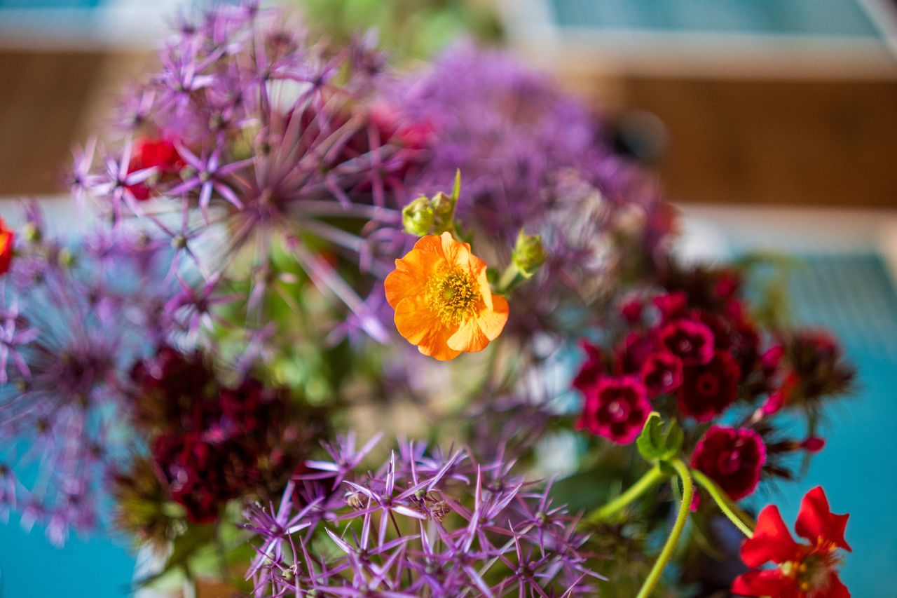 Yongnuo YN33mm F1.4Z DA DSM WL Pro