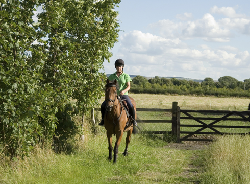Confident rider