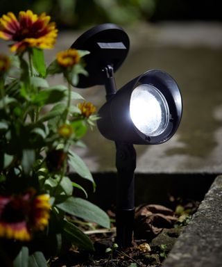 LED solar spotlight in a flower bed illuminated at night