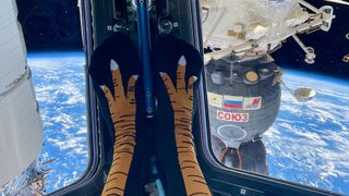 a window view of earth. at right is a soyuz spacecraft. in the center are black socks near the window, with turkey feet on them