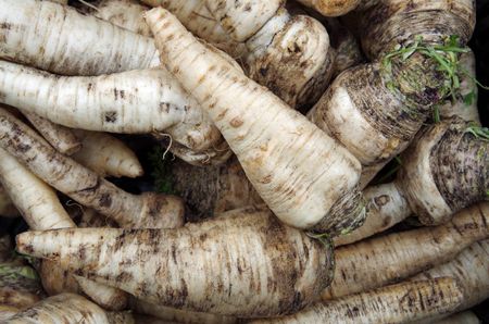 Parsnip Vegetables