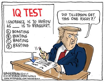Political cartoon U.S. Trump Rex Tillerson moron