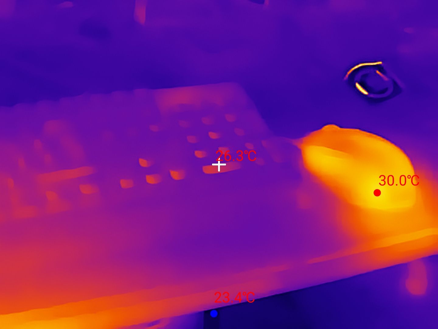 Thermal Master P3 Example images
