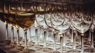 A picture of lots of glasses with white wine