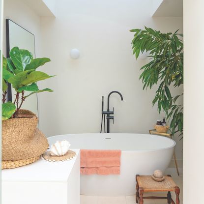 Bathroom plant ideas – 10 genius ways to add houseplants | Ideal Home