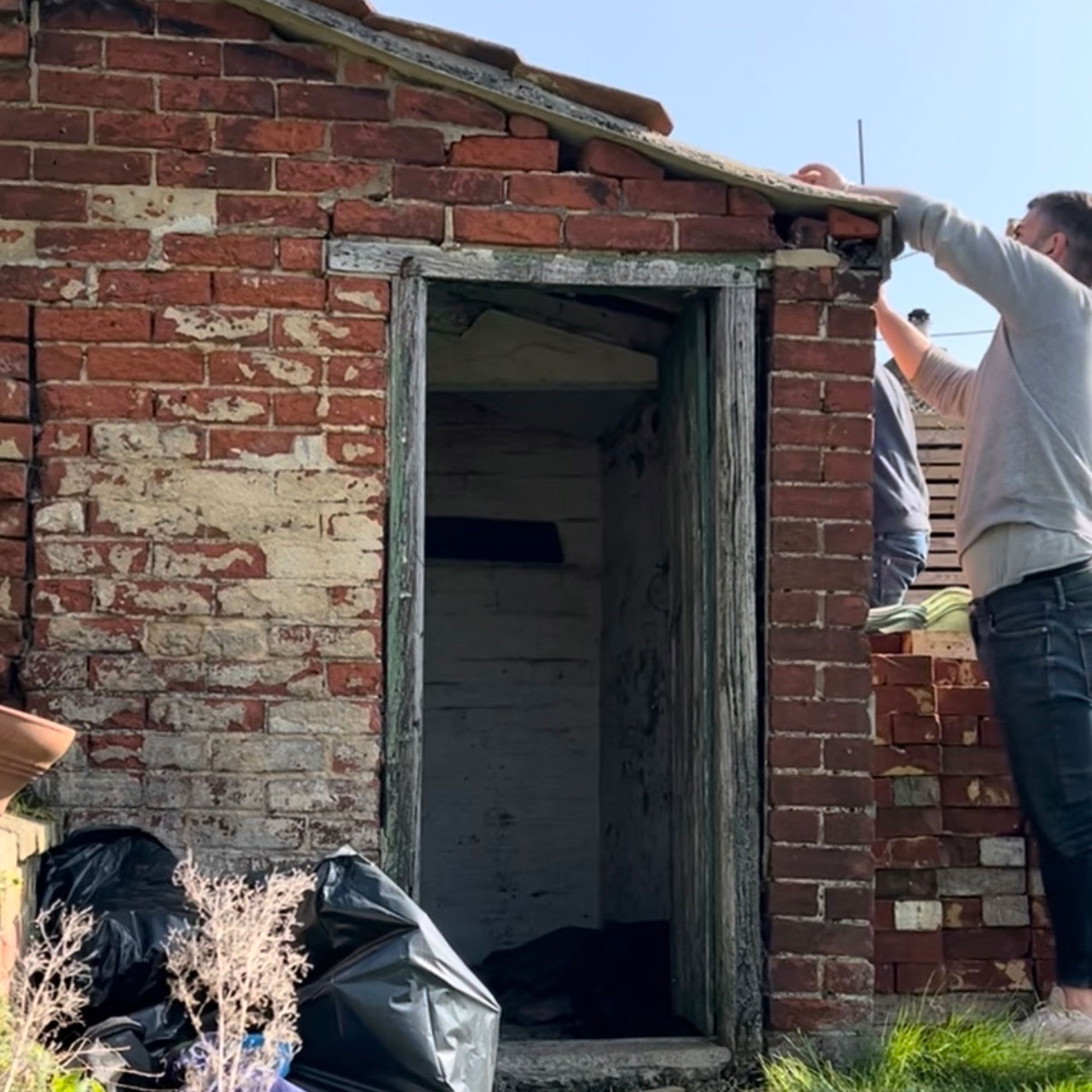 Man reaching up to roof of small, old brick outbuilding in garden