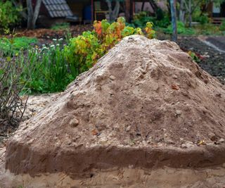 pile of sand in garden