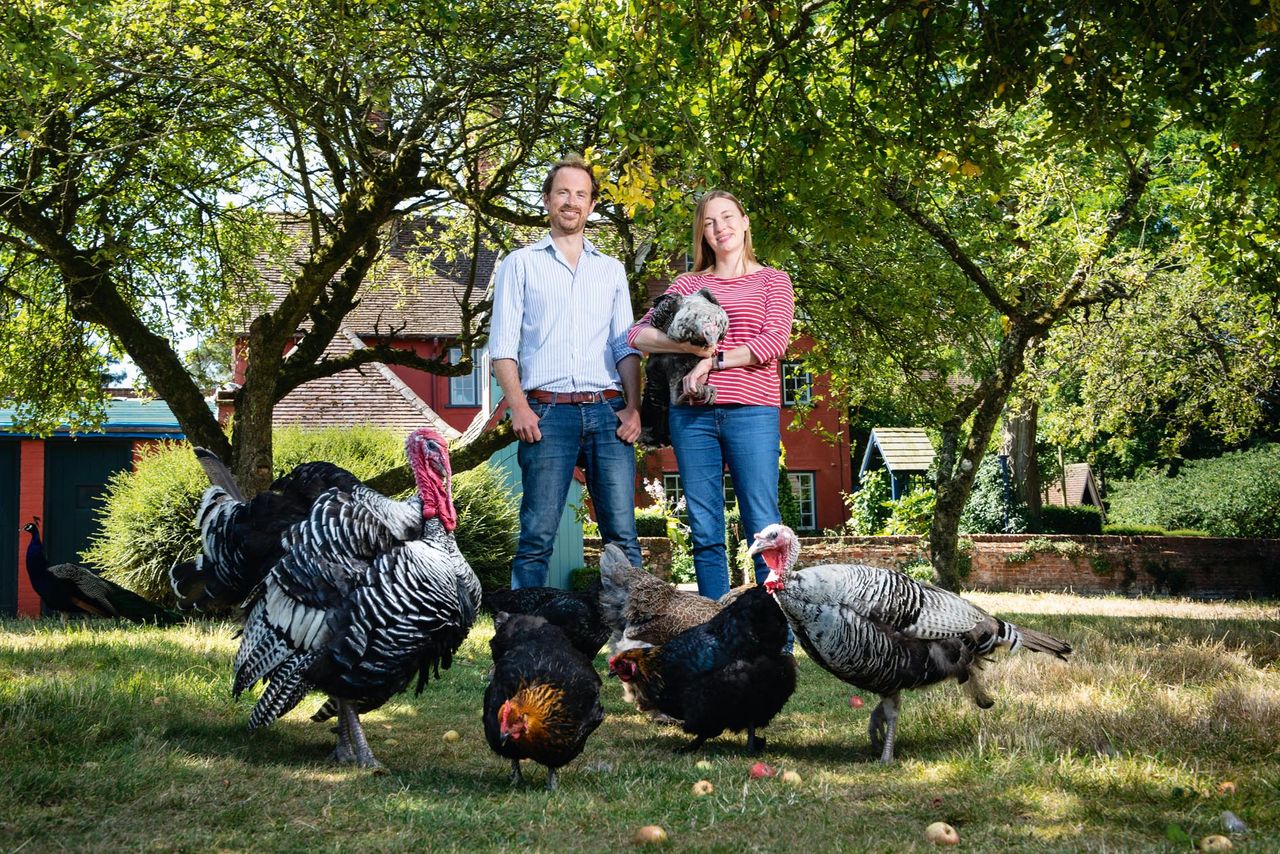 Chris Milton and Naomi Sturges swapped city living for free-range birds and bees.