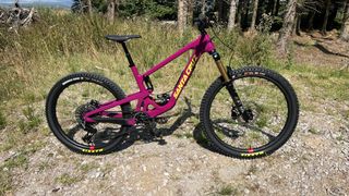 Santa Cruz Bronson 5