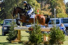 Piggy-French_BROOKFIELD-INOCENT_BLENHEIM_PN19_133442.jpg