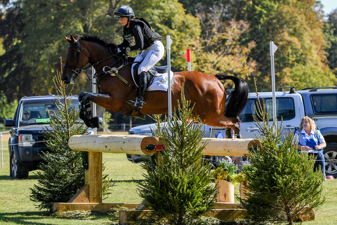 Piggy-French_BROOKFIELD-INOCENT_BLENHEIM_PN19_133442.jpg