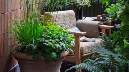 small garden space with large planter filled with plants, garden chair with book and blanket, and other planting including ferns