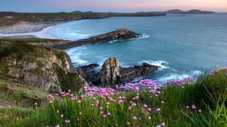 Whitesands bay on the Pembrokeshire coast path at sunset near St Davids, Wales