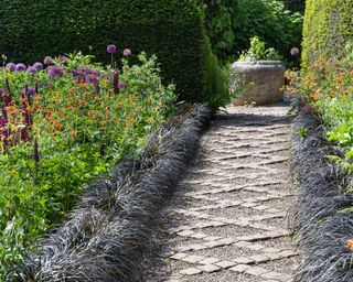 path lined with black mondo grass and flowerbeds