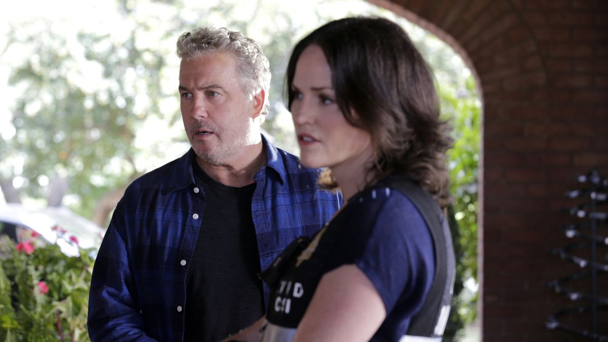 William Peterson and Jorja Fox are coming back to TV in CSI: Vegas ...