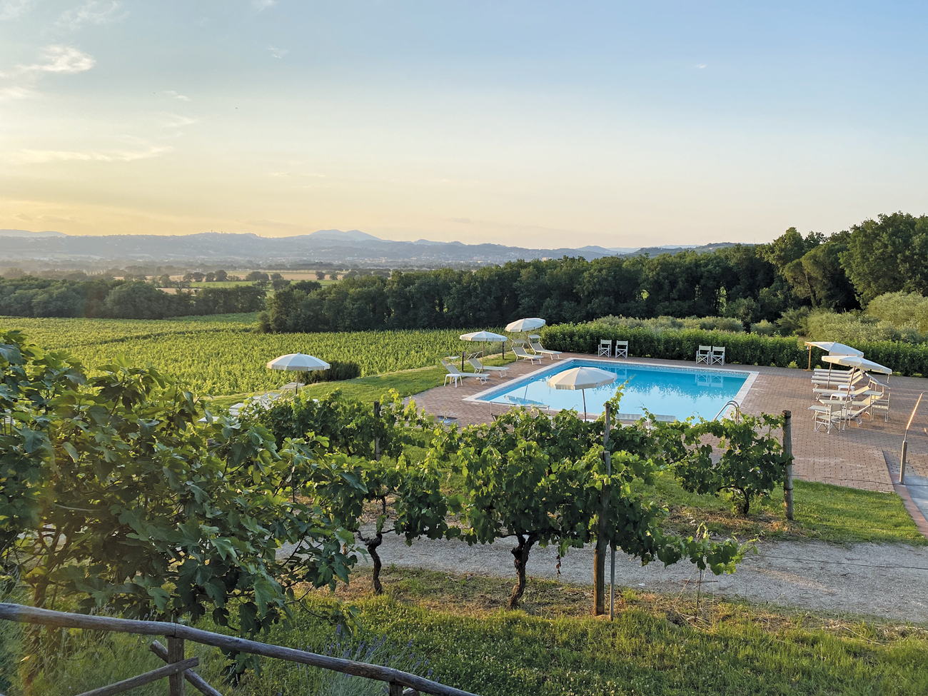 Vines surround the swimming pool beside Lungarotti&amp;rsquo;s farmhouse accommodation