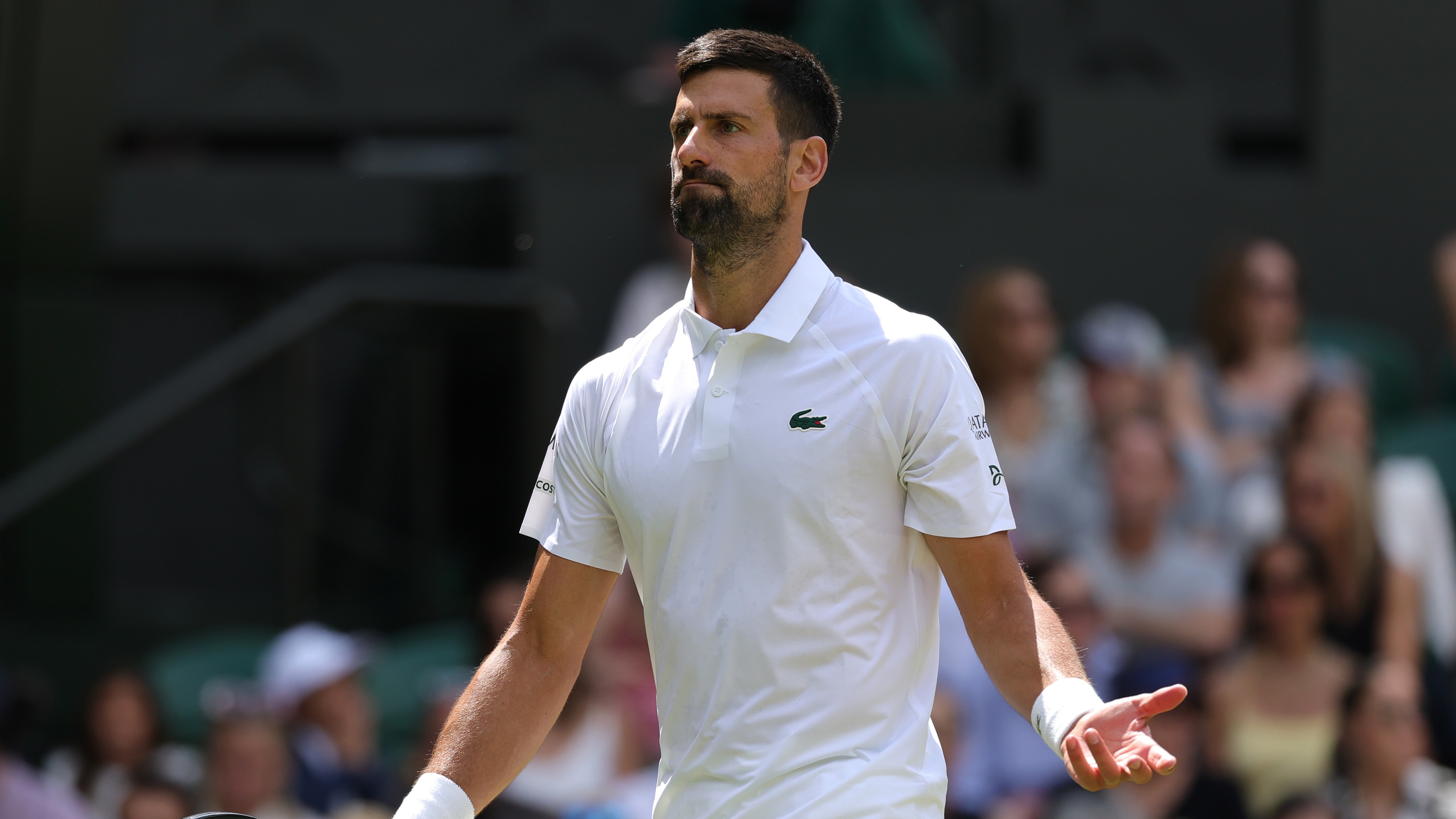 Novak Djokovic against Dan Evans at Wimbledon