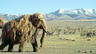 Herds of woolly mammoths search for water in drought in “Prehistoric Planet: Ice Age"