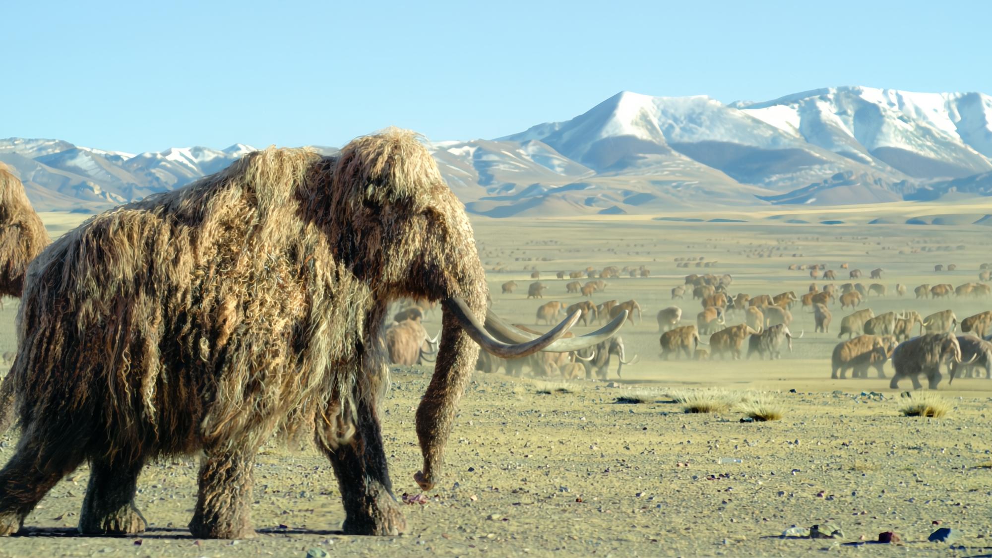 Herds of woolly mammoths search for water in drought in “Prehistoric Planet: Ice Age"