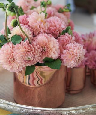 Pink flowers, silver pot