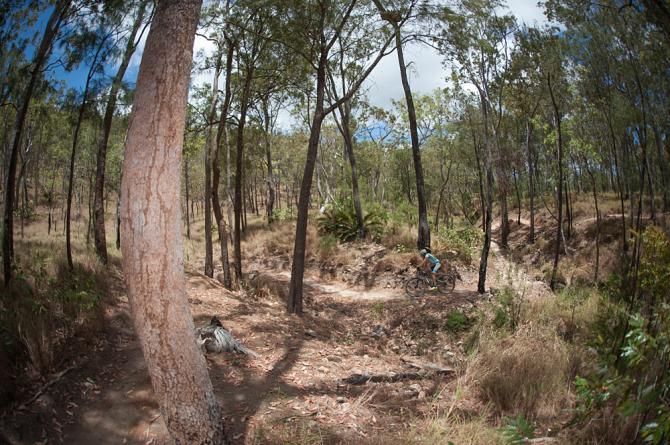Venturing deep into the Australian bush - the new Atherton MTB Trails have gained popularity fast over the past few months