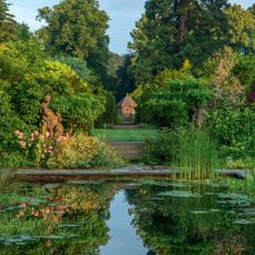 Waterside planting is a vital aspect of any garden pond or lake, providing suitable areas for invertebrates to live and seek food.