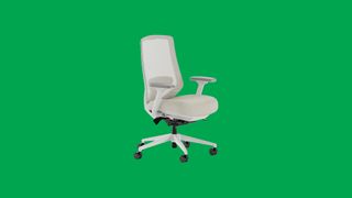 The Branch Ergonomic Chair Pro on a green background.