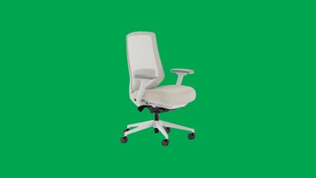 The Branch Ergonomic Chair Pro on a green background. 
