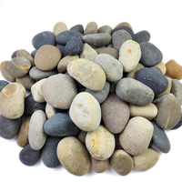 FANTIAN Store Natural Bulk Stones Pebbles 20lb bag