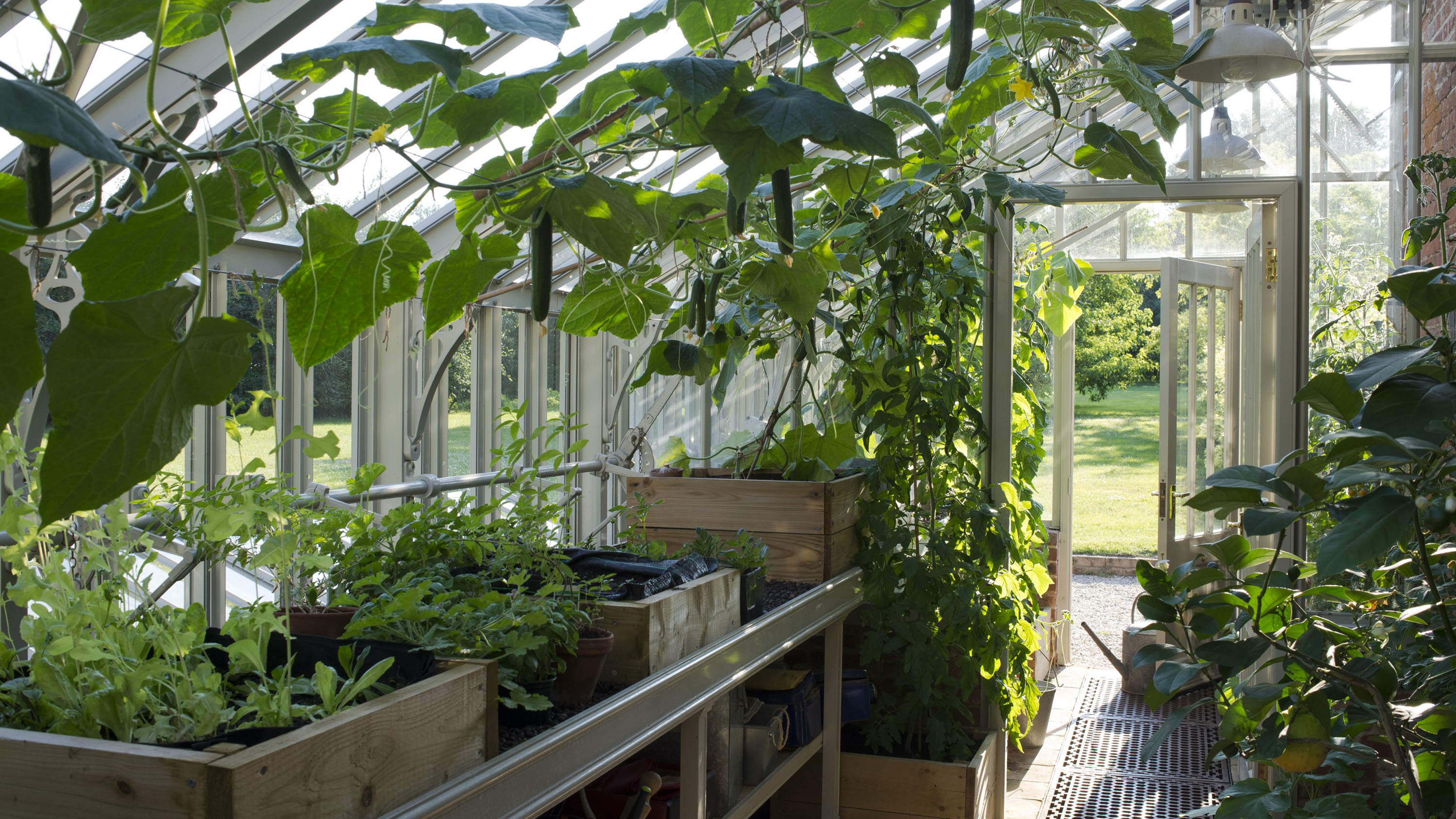 Greenhouses contend with the climate to keep plants growing