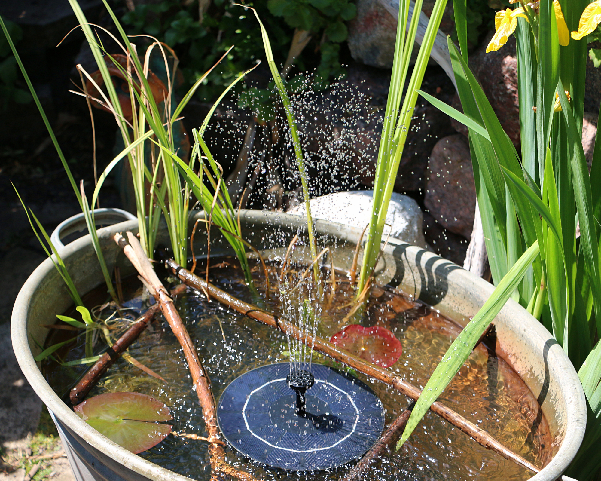 Garden water feature created using an upcycled metal trough and a solar powered water fountain