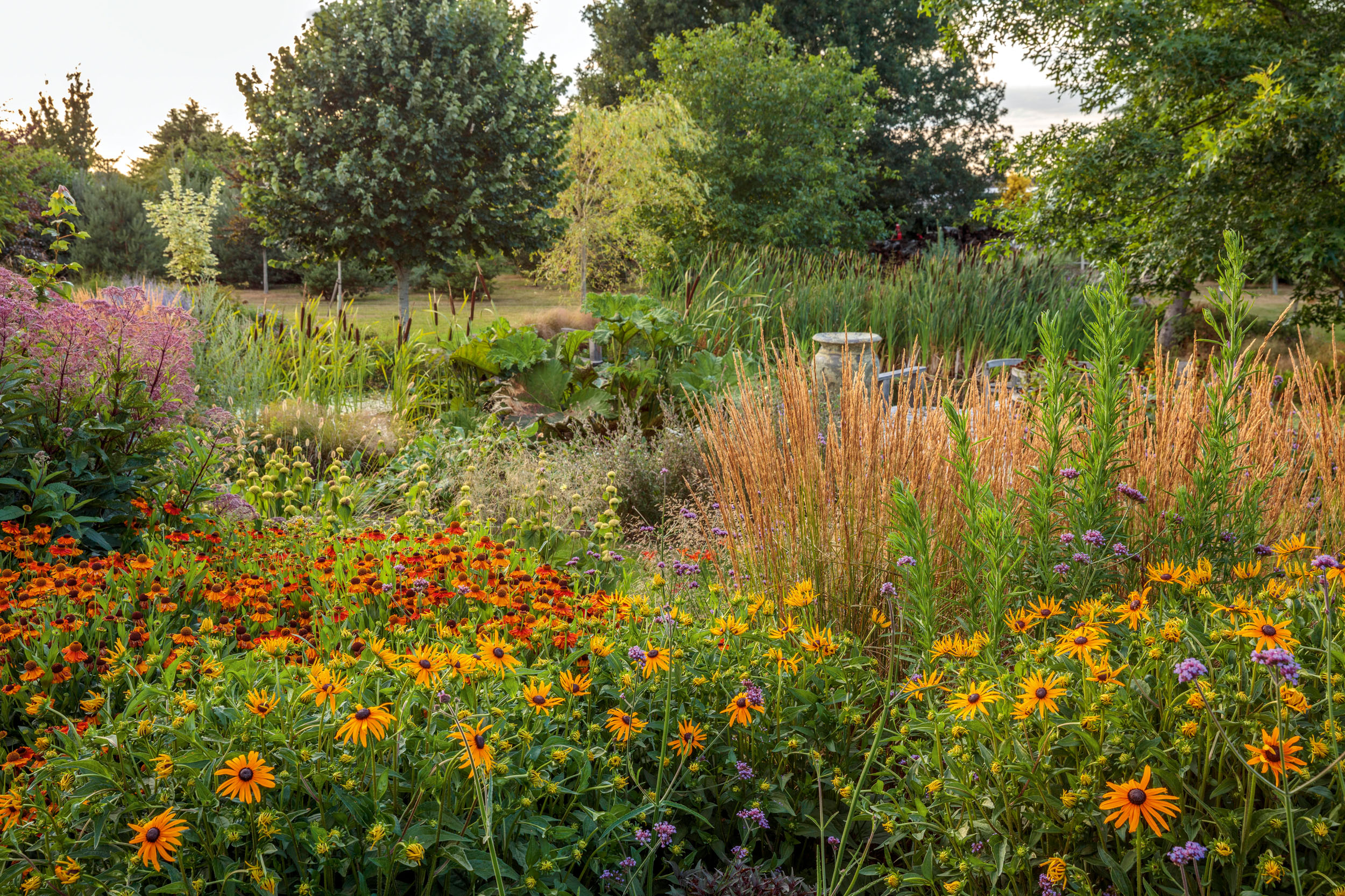 The garden and arboretum at Cedar House in Wasperton