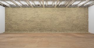 Moss wall, 1994, by Olafur Eliasson, installation view at Tate Modern, 2019.