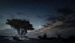 Great Basin National Park Night Sky