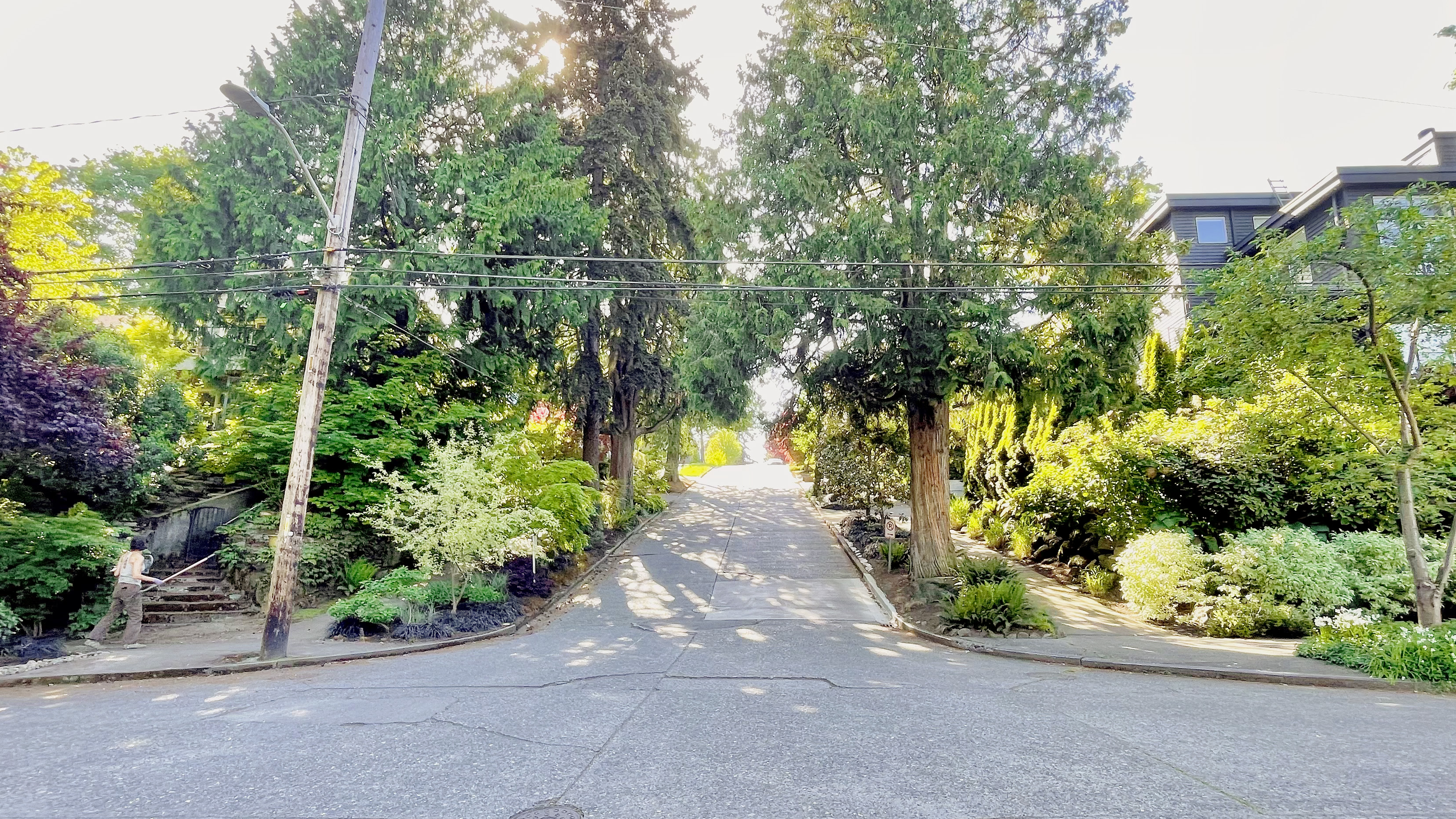The steepest hill in Seattle, East Roy Street