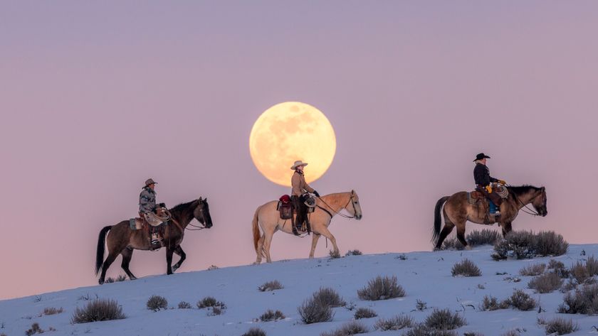 Three cowboys on horses wearing ten-gallon hats cross from left to right across a snowy hill with a large yellow full moon in a pink night sky behind them